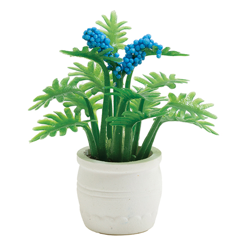 Plant with Blue Flowers in White Pot
